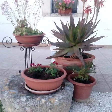 Lägenhet Trulli Sarmenzanello