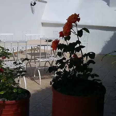 Trulli Sarmenzanello Lägenhet Noci